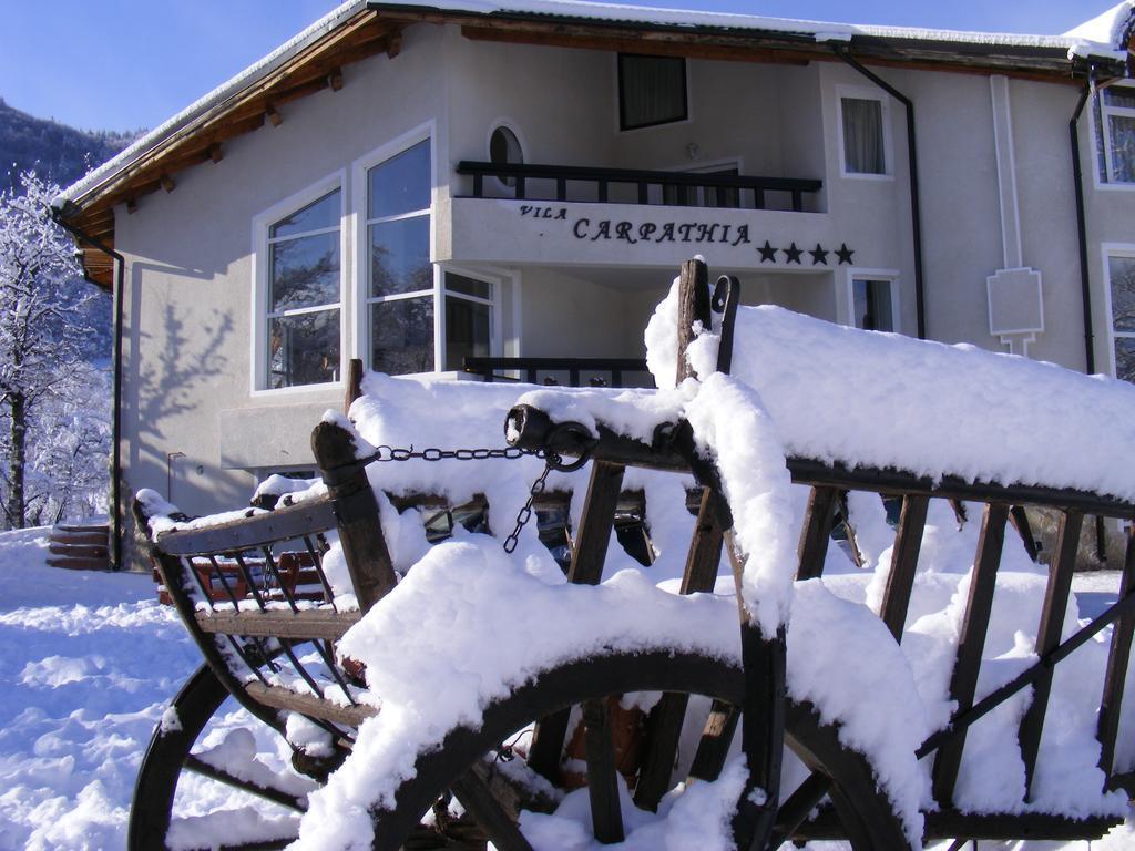 Vila Carpathia Bran  Dış mekan fotoğraf
