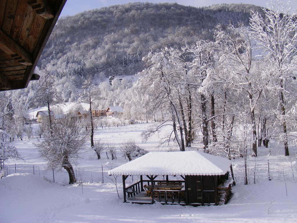 Vila Carpathia Bran  Dış mekan fotoğraf